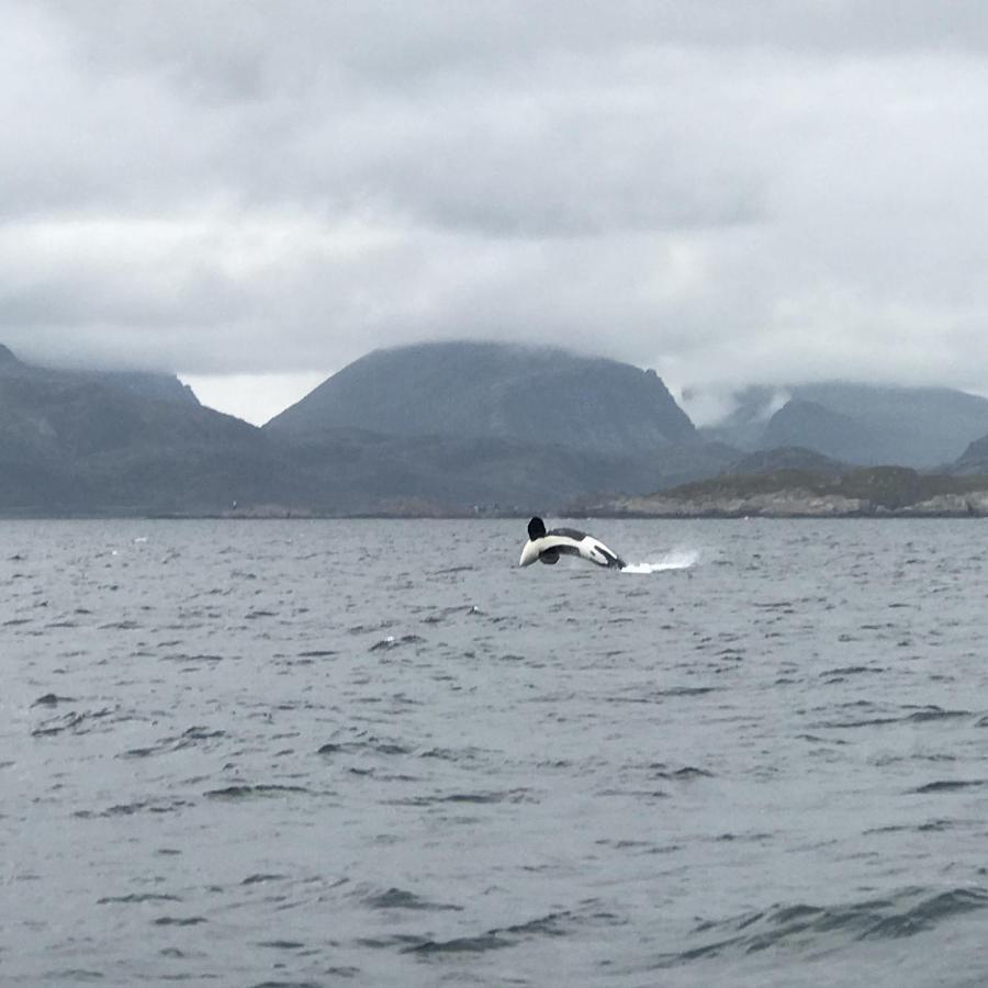 Fishermans Rorbu 2 - Lofoten รัมบาร์ก ภายนอก รูปภาพ